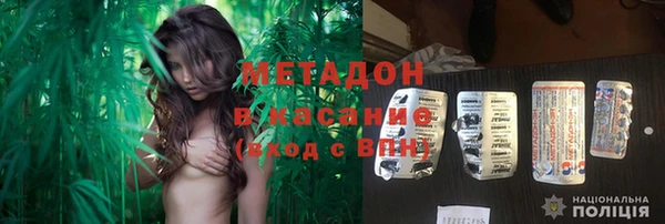 прущие грибы Баксан