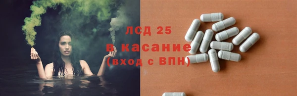 прущие грибы Баксан