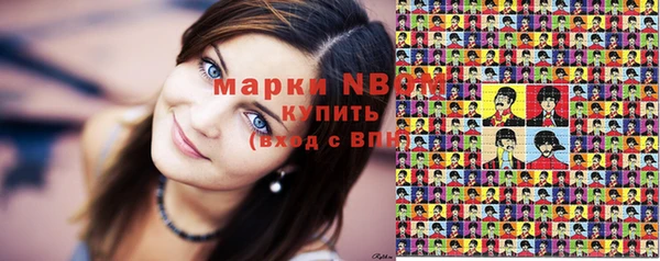 прущие грибы Баксан