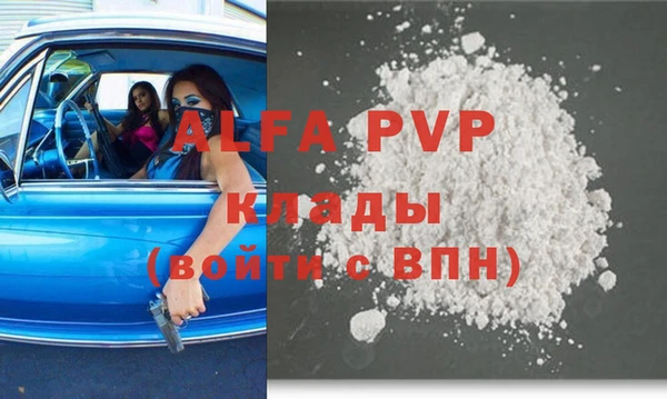 прущие грибы Баксан