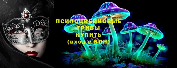прущие грибы Баксан