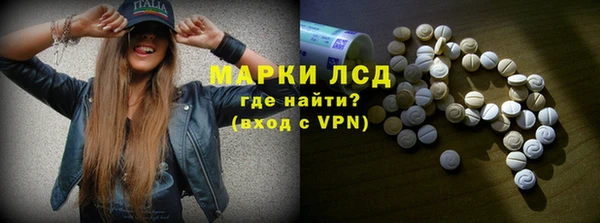 прущие грибы Баксан