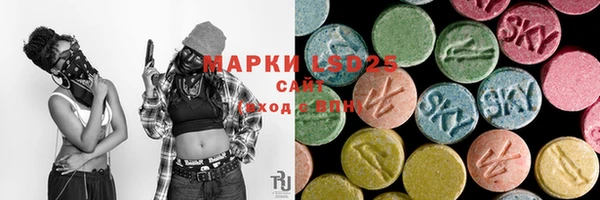 индика Балабаново