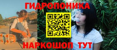 сатива Апшеронск