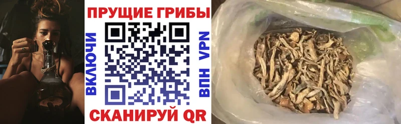 Галлюциногенные грибы мухоморы  Дальнегорск 