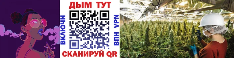 Конопля VHQ Дальнегорск